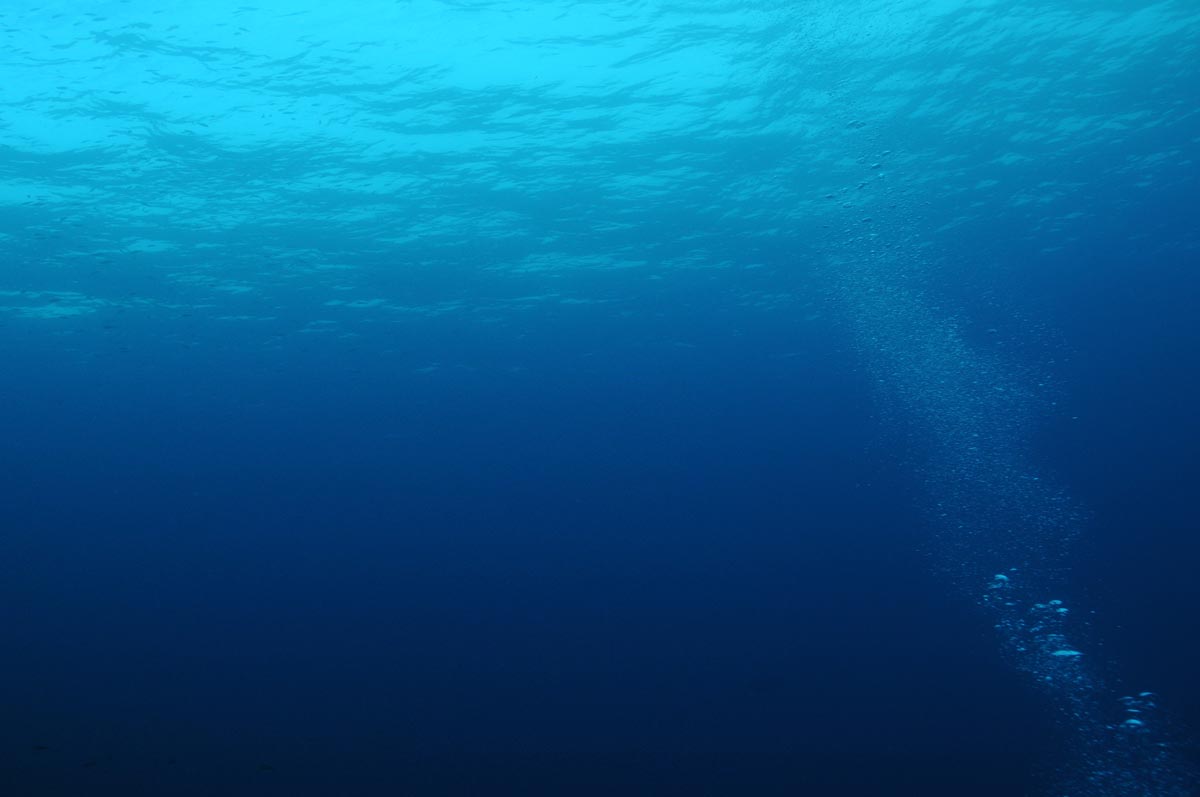 Underwater Ambience • Home of the Fin Whale