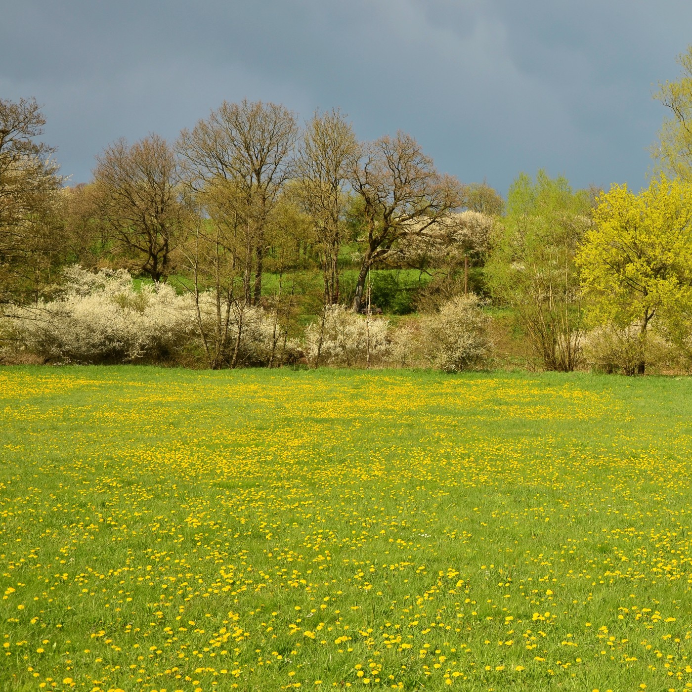 BABBLING BROOK • Welcome to Beavers' Home